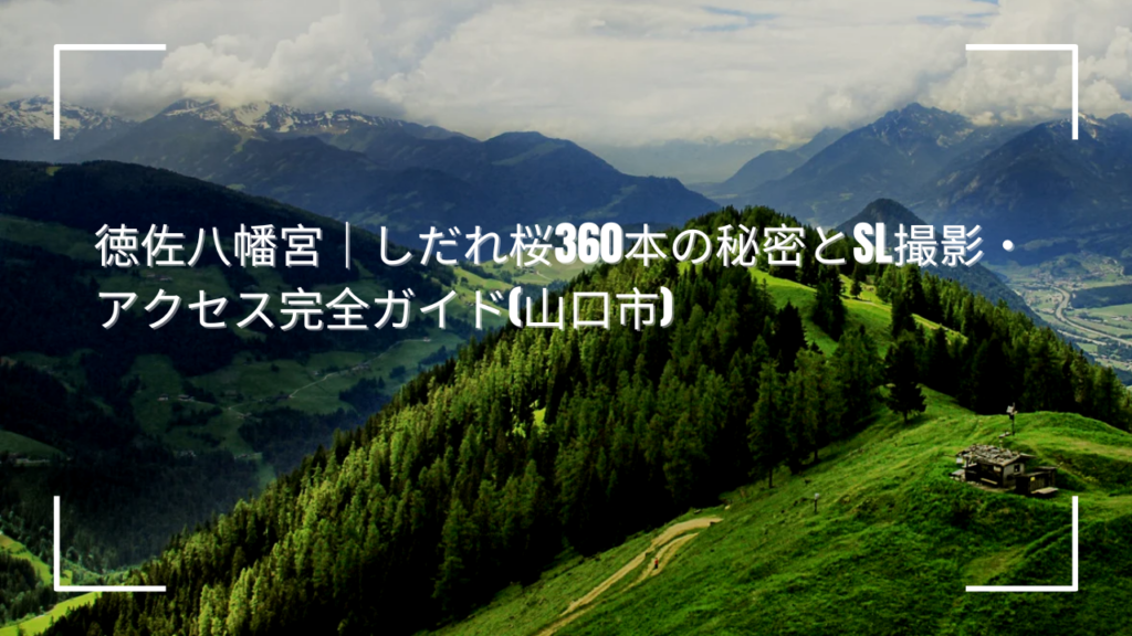 徳佐八幡宮｜しだれ桜360本の秘密とSL撮影・アクセス完全ガイド(山口市)